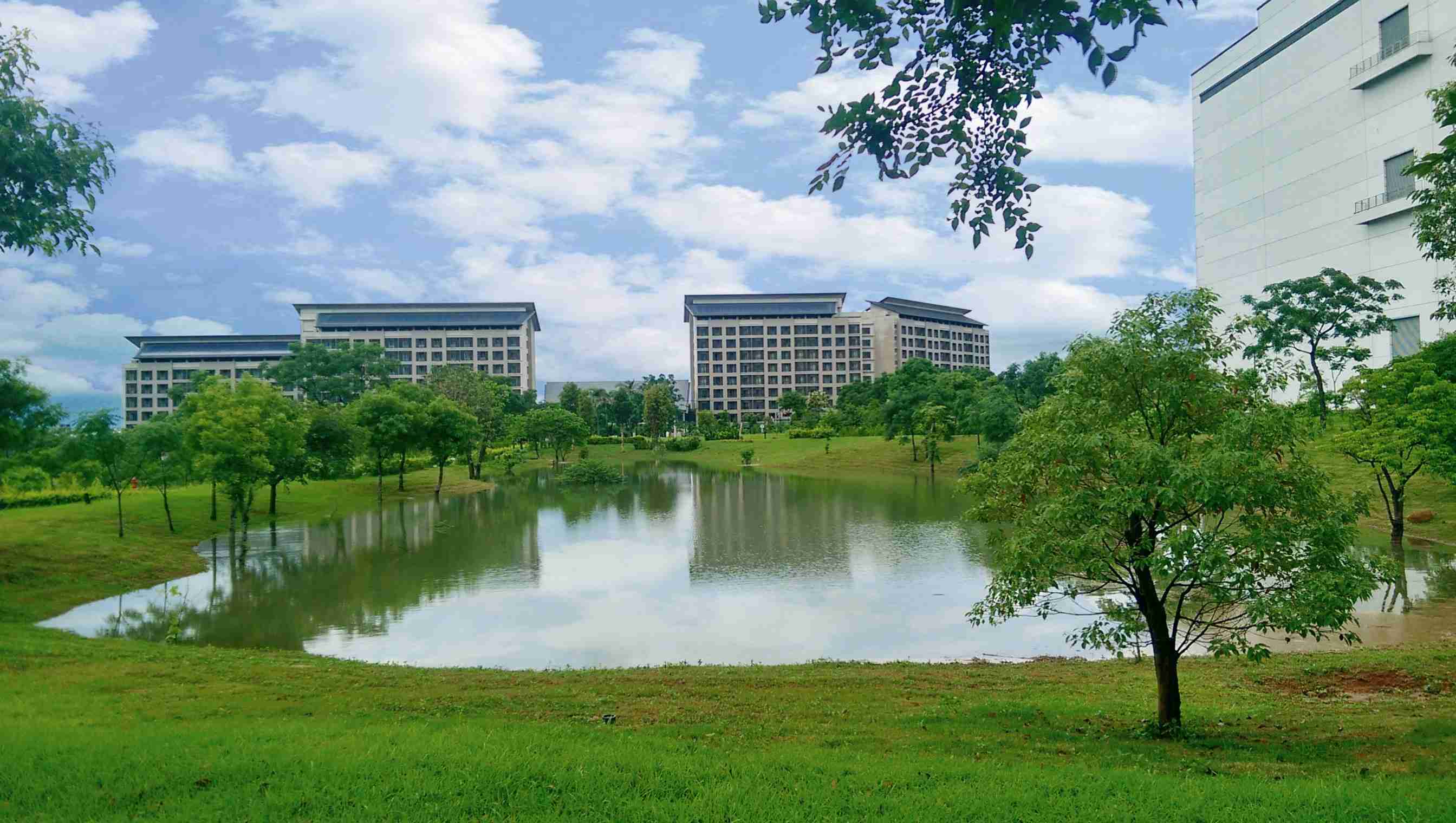 NG大舞台响应国际倡议生物多样性趋势，，，首次发布TNFD自然相关财务揭露报告书，，，，擘划及开展NG大舞台生物多样性政策之承诺，，，，逐步迈向与自然和谐共生